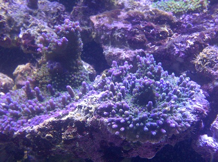 IMG-20120727-00038.jpg
