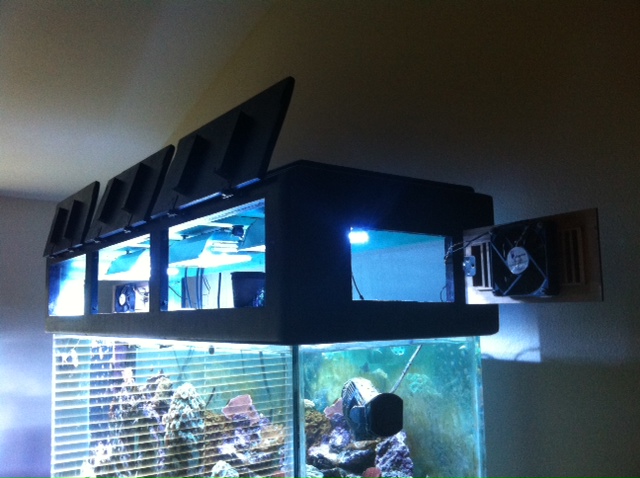 photo9.JPG