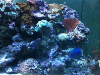 photo11.JPG