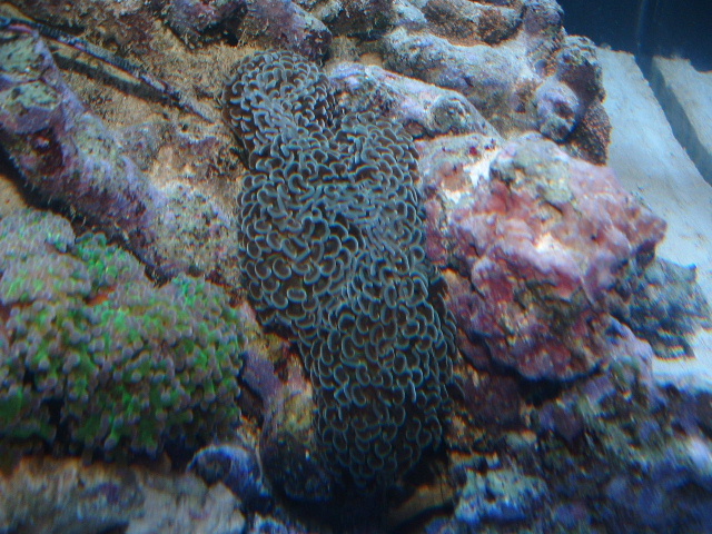 hammer10-05-03.JPG
