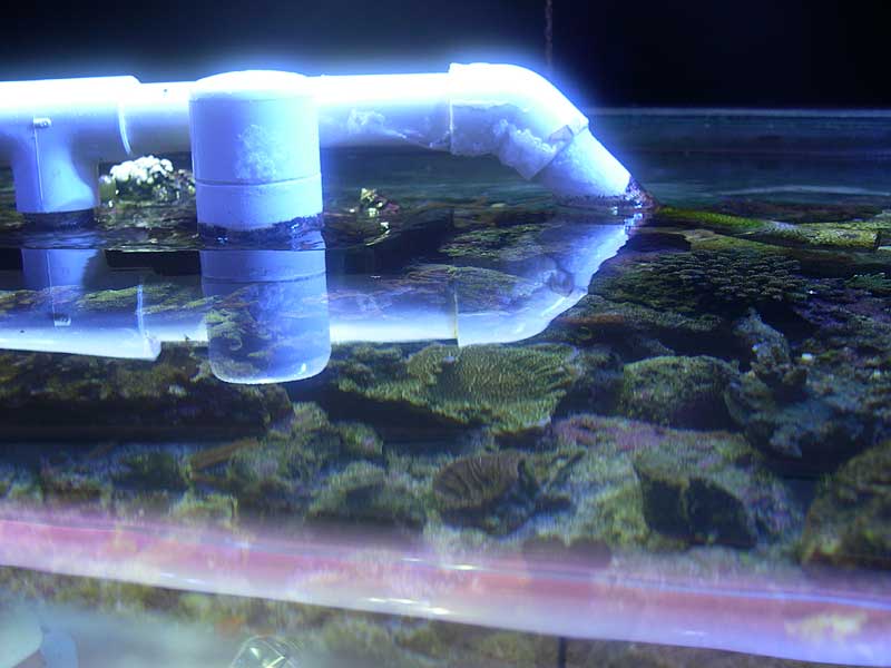 top-view2.jpg