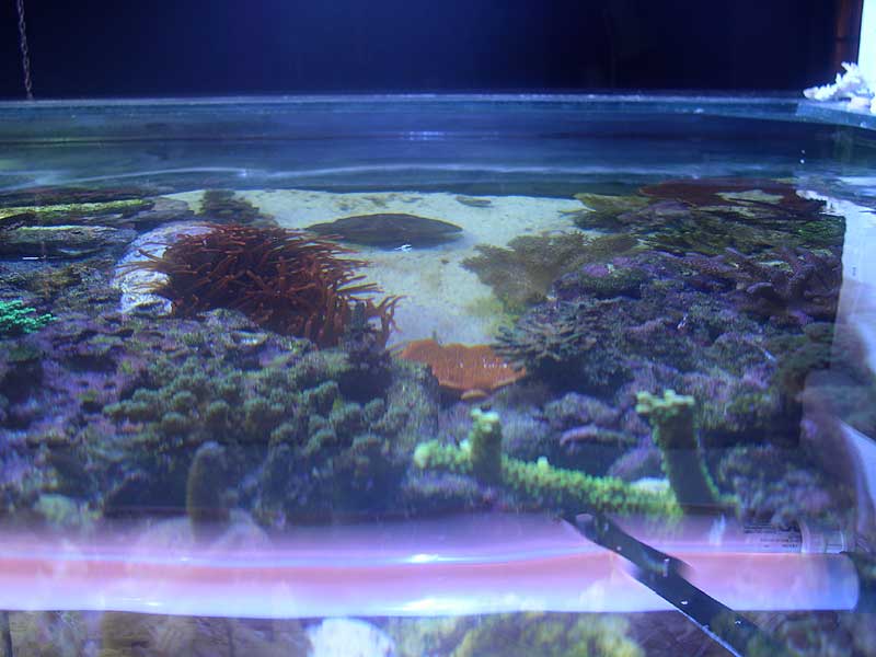 top-view.jpg
