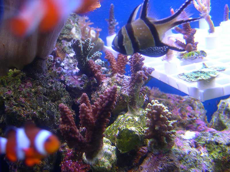 more-of-my-frags.jpg