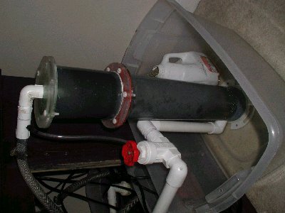 smallskimmer.JPG