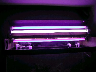 lights.jpg