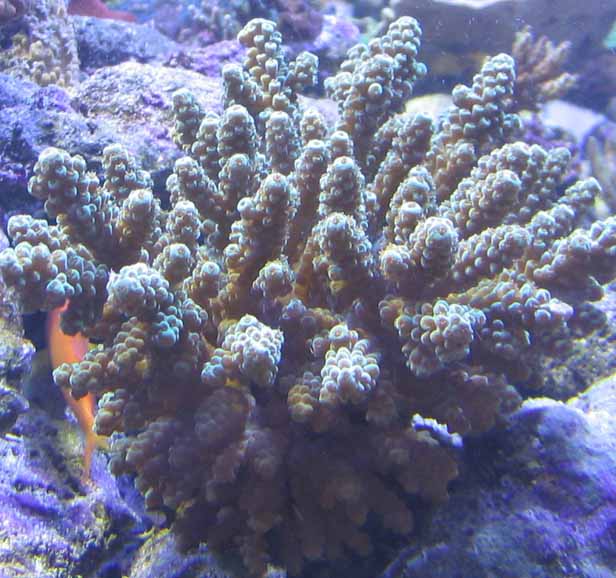 a bad pic but still nice