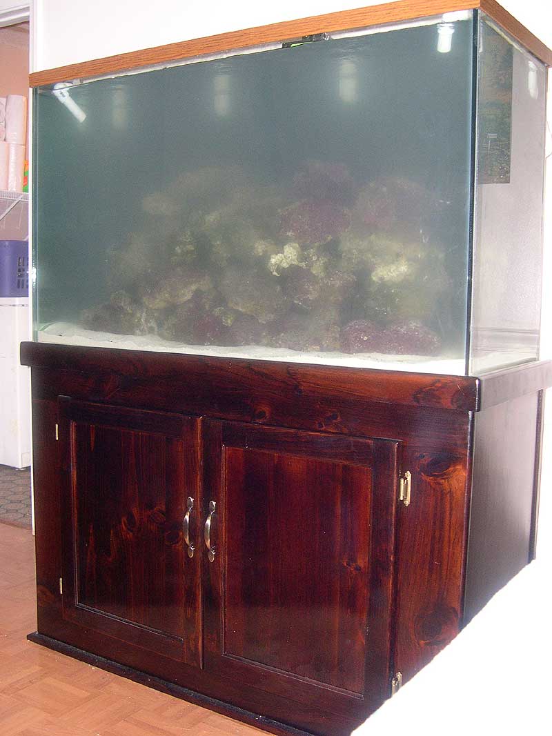 better-full-view-of-rock-cy.jpg