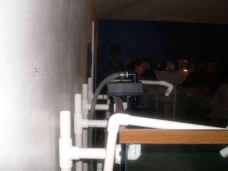 back-top-view.jpg