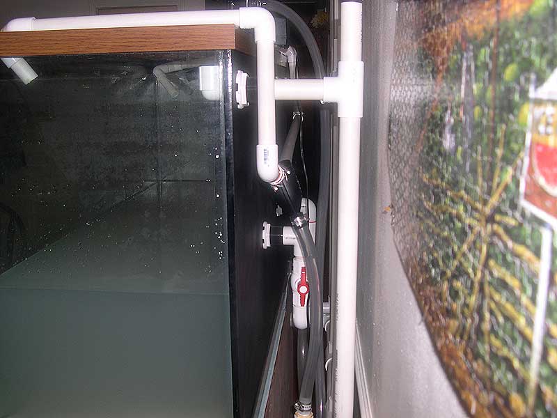 back-of-closed-loop.jpg