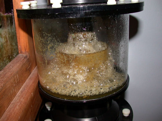 Skimmer after just one week