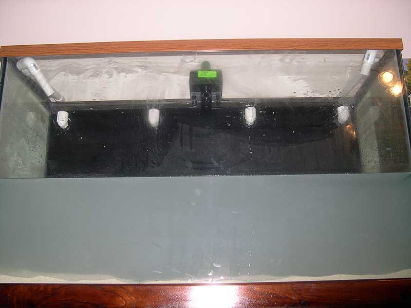 front-view-from-inderneath.jpg
