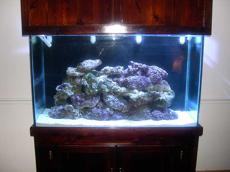 one-tank-light-on.jpg