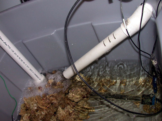 My cool sump, lol