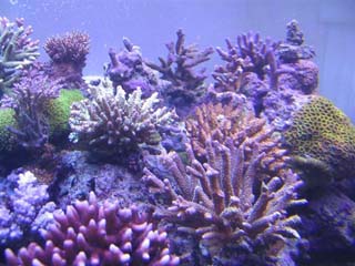 Pic008 (Small).jpg