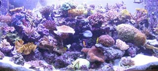 Pic019 (Small).jpg