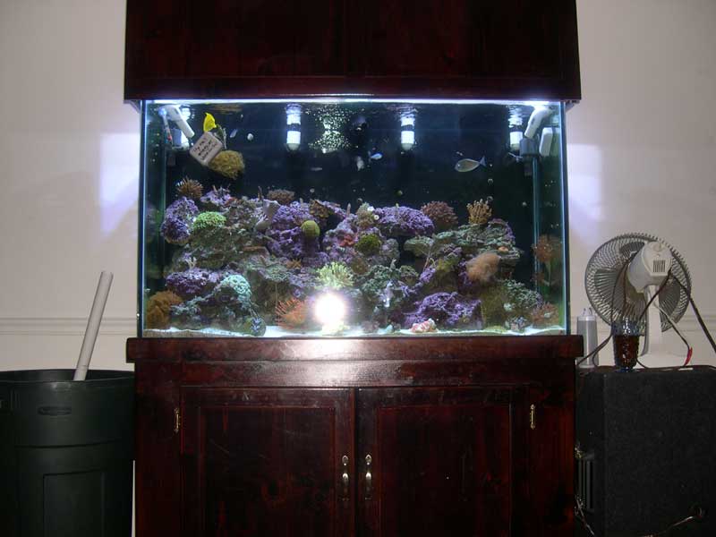 front-shot-with-flash-3-17-.jpg