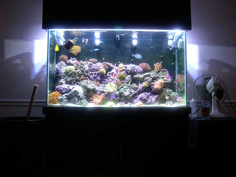 front-shot-no-flash-3-17-04.jpg