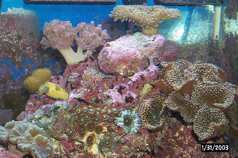 P0000428.gif