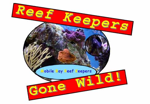 mbrk gone wild0001low.jpg