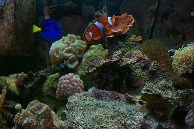 P0000840.jpg