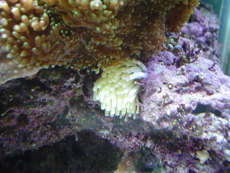 What is this?
