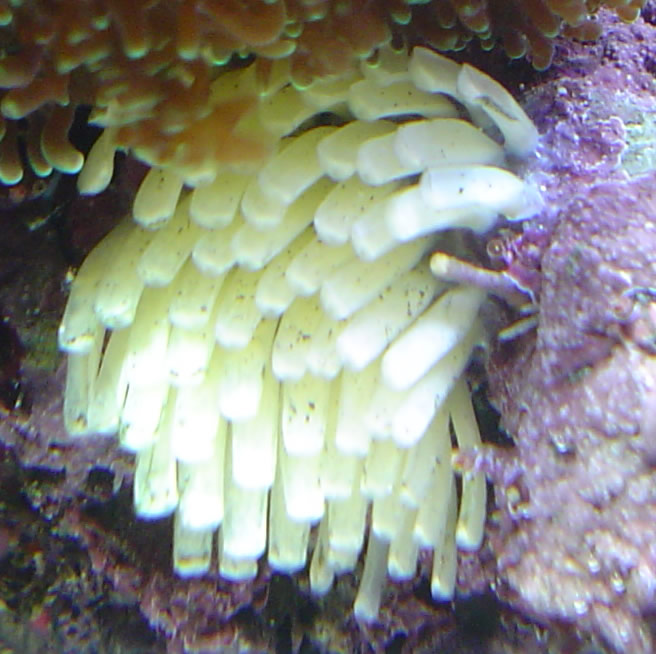 Close up