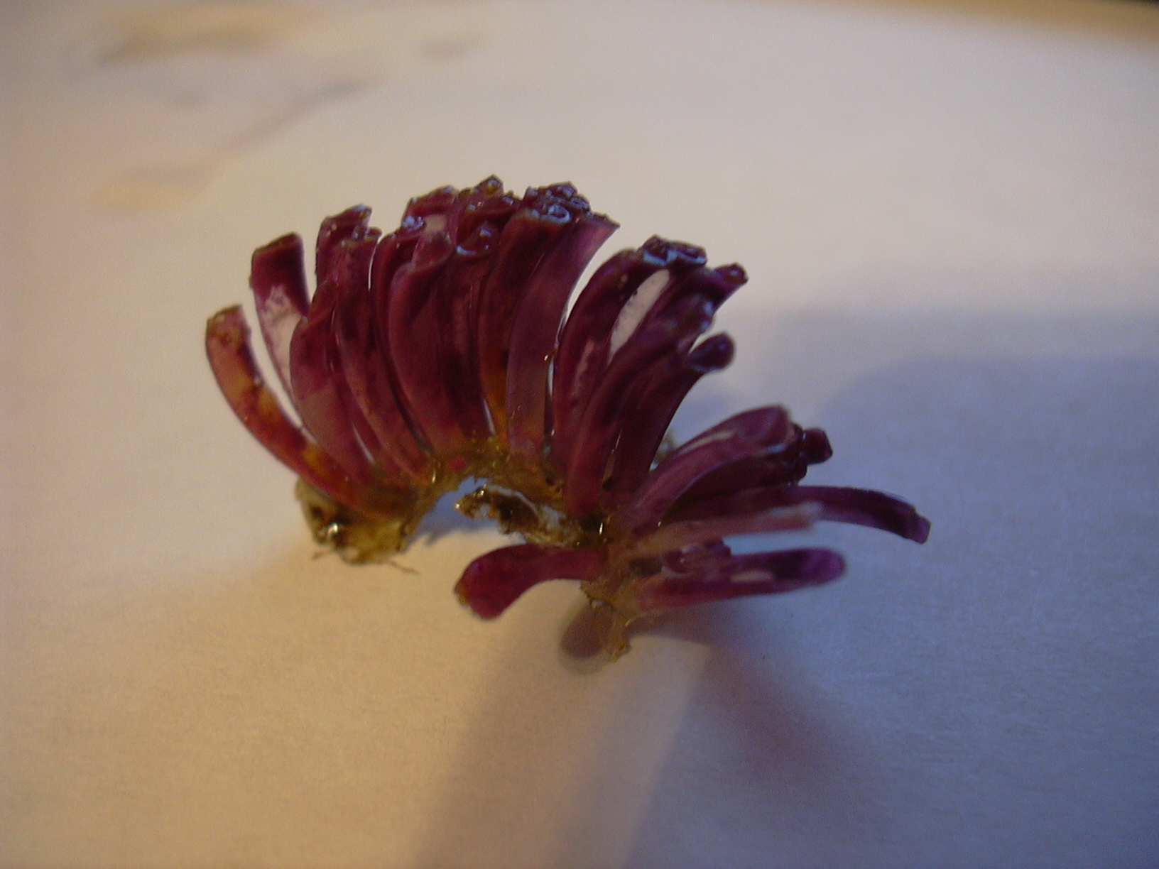 DSCN0093.JPG
